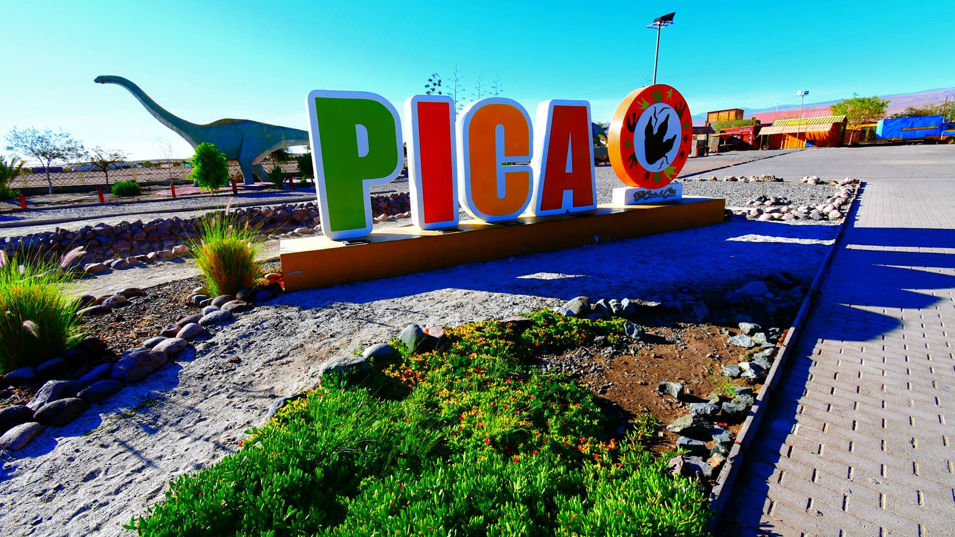 Tour Oasis de Pica
